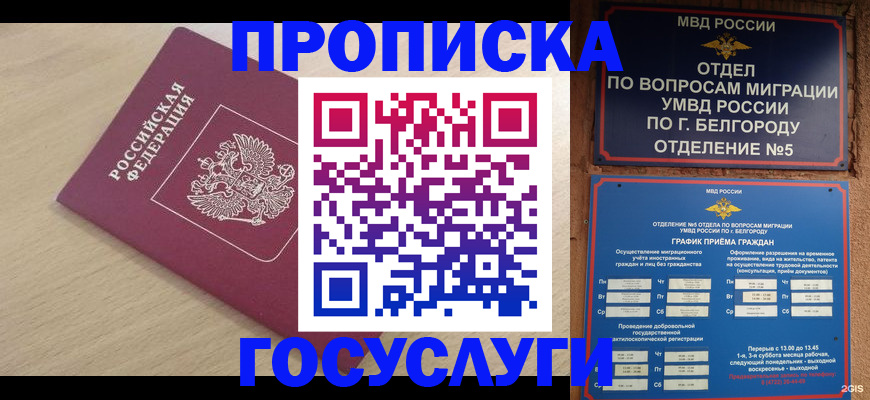 прописка законно в Новороссийске